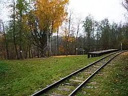 Žažumbris