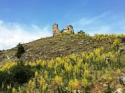Ruins in Barbaros