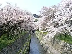 Lake Biwa Canal
