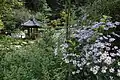 Flowers and a pavilion in the distance (2019)