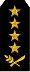 General de ejército (Nicaraguan Army)[18]