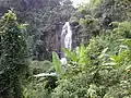 Scenic nature