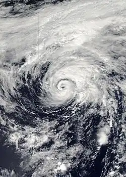 Satellite image of the unclassified tropical or subtropical cyclone near the International Dateline on September 2