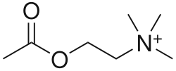 Acetylcholine