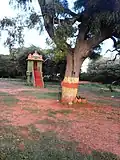 Ammari Amman Temple, Mananthavady Road