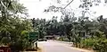 The bridge