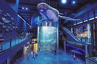 Aquarium entrance hall