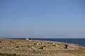 Archaeological Site of Palamari
