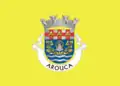 Flag of Arouca