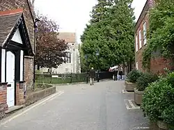 The College