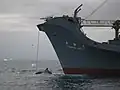 Sister ship Yūshin Maru with a Whale