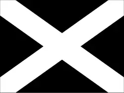 Auto racing disqualification flag
