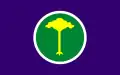 Flag of São Carlos