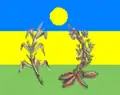 Flag of Pedro Gual Municipality