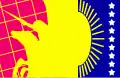 Flag of Falcón Municipality