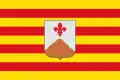 Flag of Montuïri