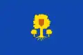 Flag of Ontiñena
