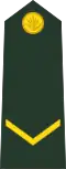 ল্যান্স কর্পোর‍্যাল Lyānsa karpōrāla (Bangladesh Army)[33]