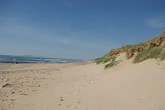Beach & dunes.