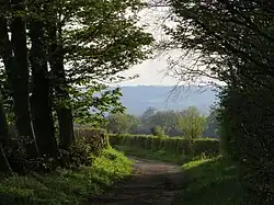 Sarsgrove Wood, which forms part of the estate, 2012