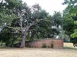 Remains of the original ha-ha wall, from the 'outside' of the original asylum boundary