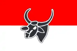 The Perhimpoenan Indonesia flag, the progenitor of all flags used by early Indonesian and Malay nationalists.