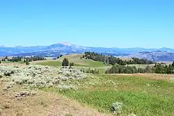 Blacktail Plateau