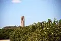 From the orange groves below the ridge