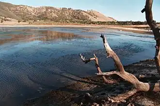 Borax Lake Site