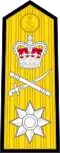 Royal Navy rear admiral shoulder board prior to 2001[2]