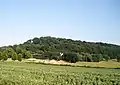 View to Stinchcombe Hill