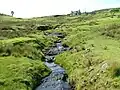 Tiny Burn in Upper Milovaig