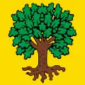 Flag of Gros-de-Vaud District