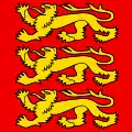 Flag of Pfäffikon