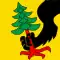 Flag of Rüschegg