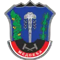 Medveđa