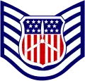 Cadet technical sergeant insignia