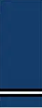 Royal Canadian Air Force officer cadet rank insignia