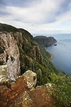 Dolerite columns of Cape Raoul.