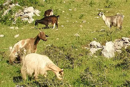 In Alcara li Fusi