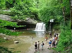 Cascades