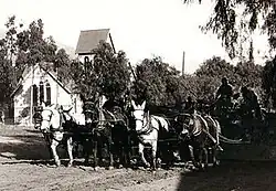 Central Ave, Sierra Madre CA in 1904. A mule team is grading the Ave for the installation of the 1905 Pacific Electric street car, in front of Sierra Madre Memorial Park, the background is the Old North Church with the original barn roof bell tower.