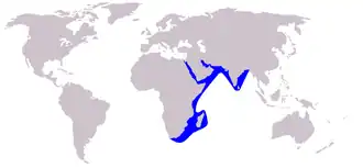 Indian humpback dolphin range