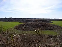 Kincaid Site