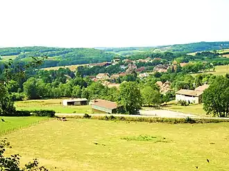 A general view of Courchaton