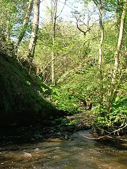 The Cowlinn Burn from Clonbeith joining the Lugton Water at Montgreenan Castle.