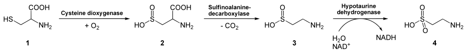 reaction diagram
