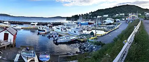 Dildo harbour