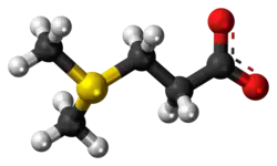Ball-and-stick model of the dimethylsulfoniopropionate zwitterion