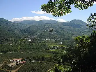 Coffee plantation just south of Orosi
